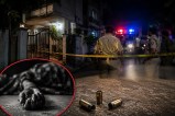 bhopal elderly couple murder case