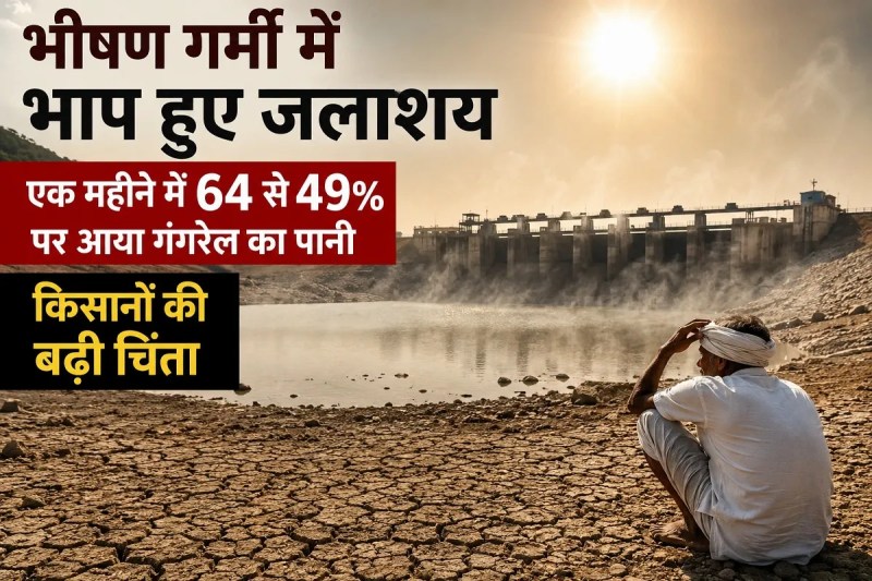 Chhattisgarh News