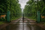 Forests Closed To Tourists