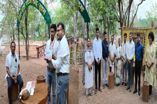 Chhattisgarh News