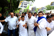 Congress Protest