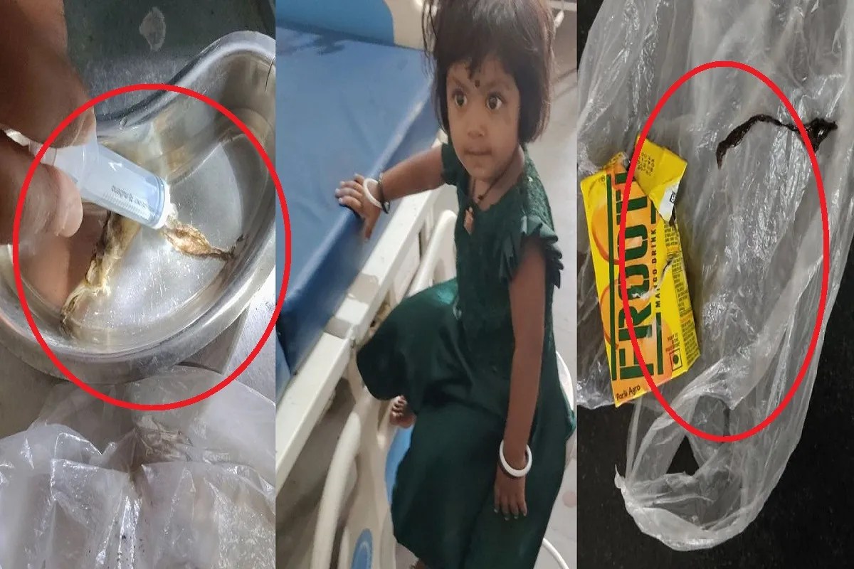 lizard skin found in Frooti