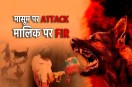 Pet Dog Attack Girl