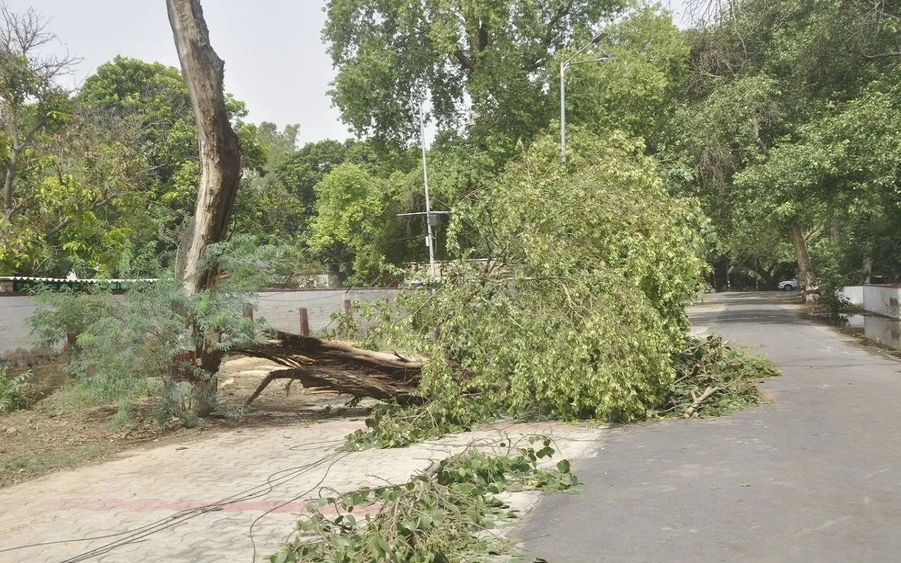 Following a storm in Sri Ganganagar, electricity poles and trees were uprooted in areas including the Civil Lines and the District Collectorate; the resulting power outage caused inconvenience to the general public