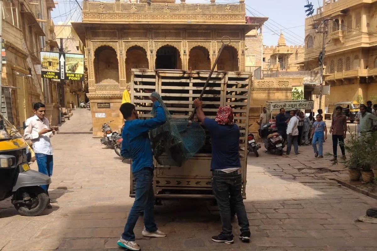 jaisalmer photo