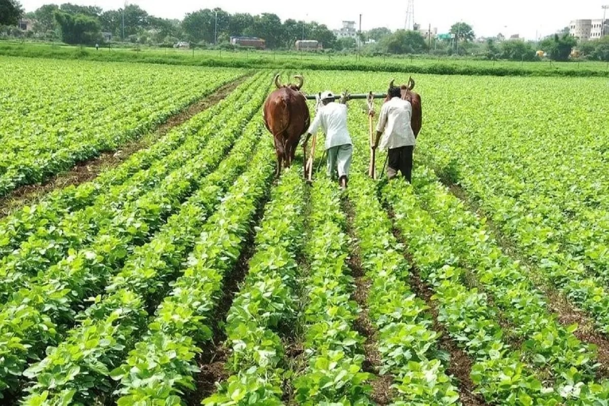 farming news