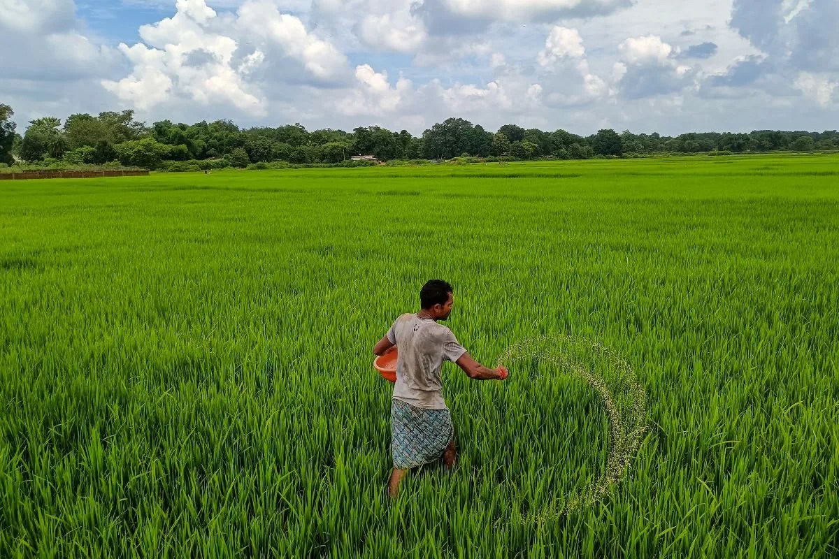Crop production and fertilizer use comparison in india.