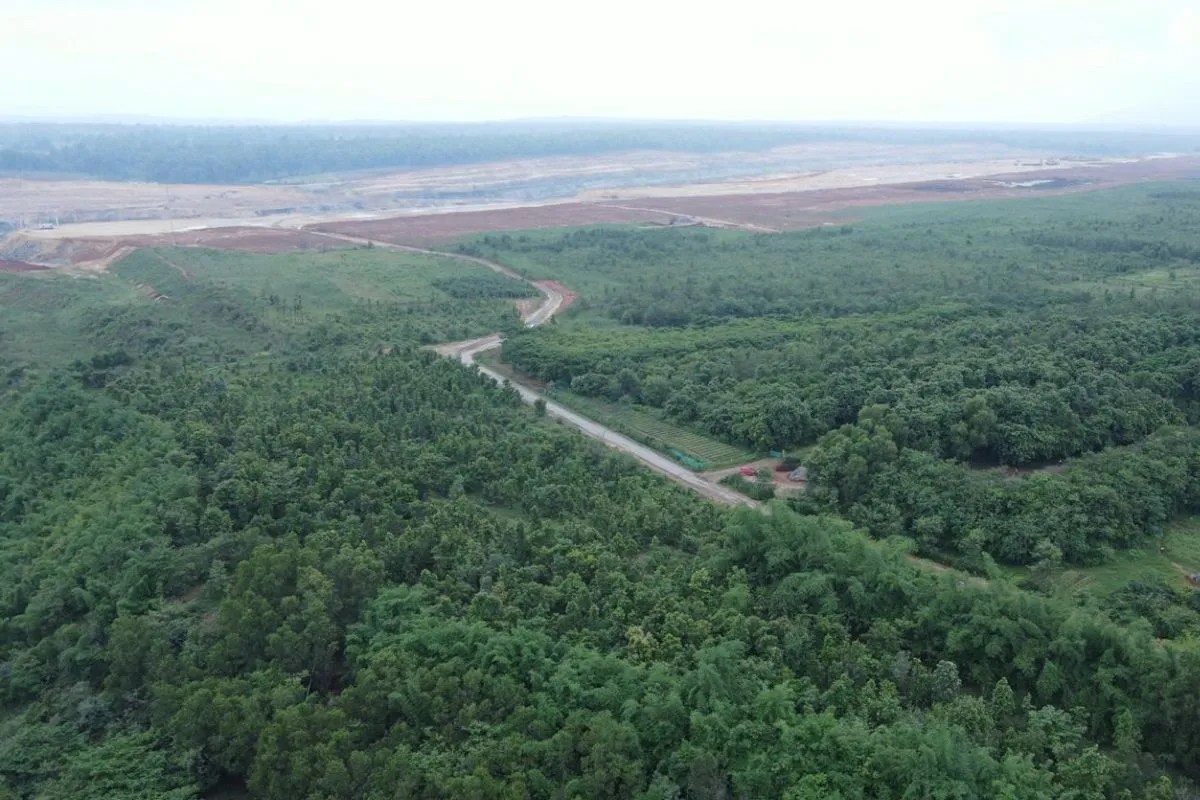 Forest diversion India development impact.