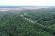 Forest diversion India development impact.