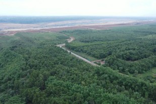 Forest diversion India development impact.