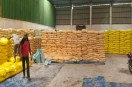 fertilizer