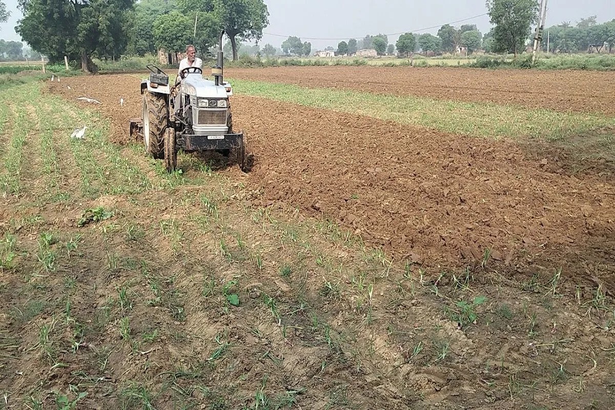 farming