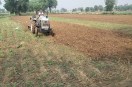 farming