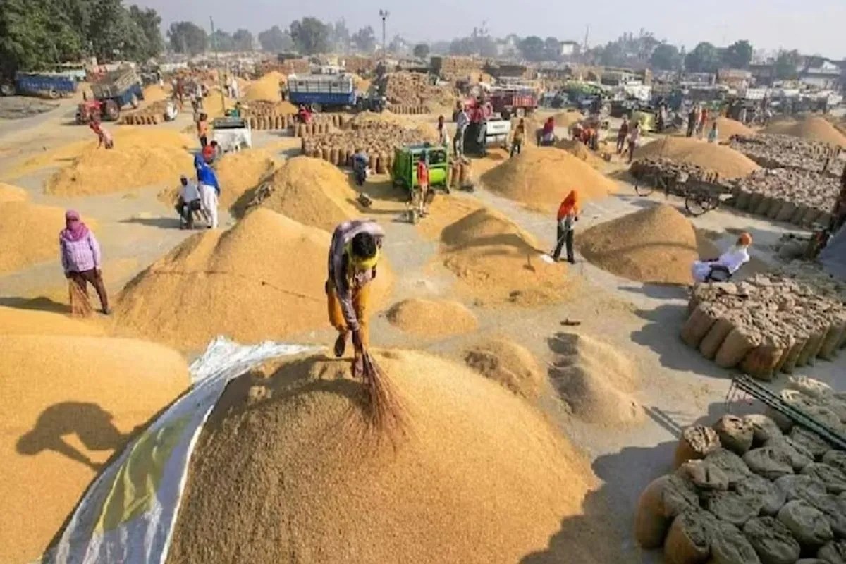 krishi mandi udaipur