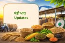 mp mandi bhav