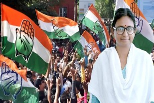 minakshi natrajan
