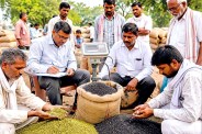 MP farmers