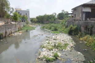 monsoon cleaning