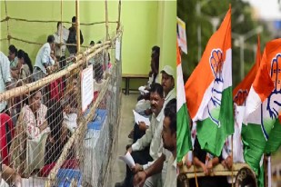 nagar panchayat election result