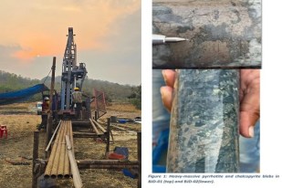Nickel and Palladium in chhattisgarh