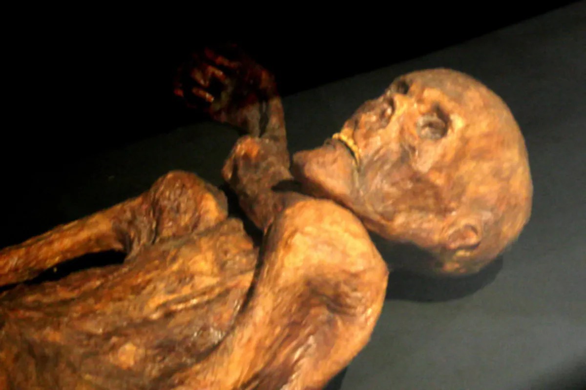 Otzi mummy