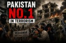 Pakistan Terrorism Report Terrorism Ranking Global Terrorism Index