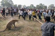 सांकेतिक तस्वीर फोटो जेनरेट AI