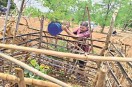 World Environment Day