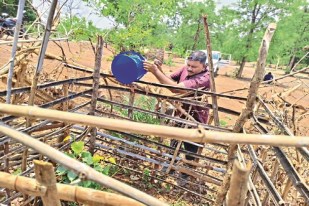 World Environment Day