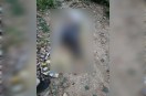 gagan agarwal suicide