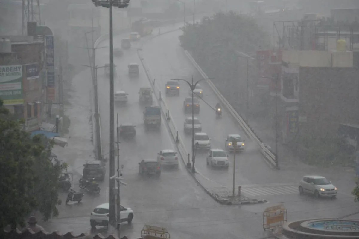 rain alert
