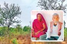 Rewa tree man story