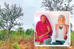 Rewa tree man story