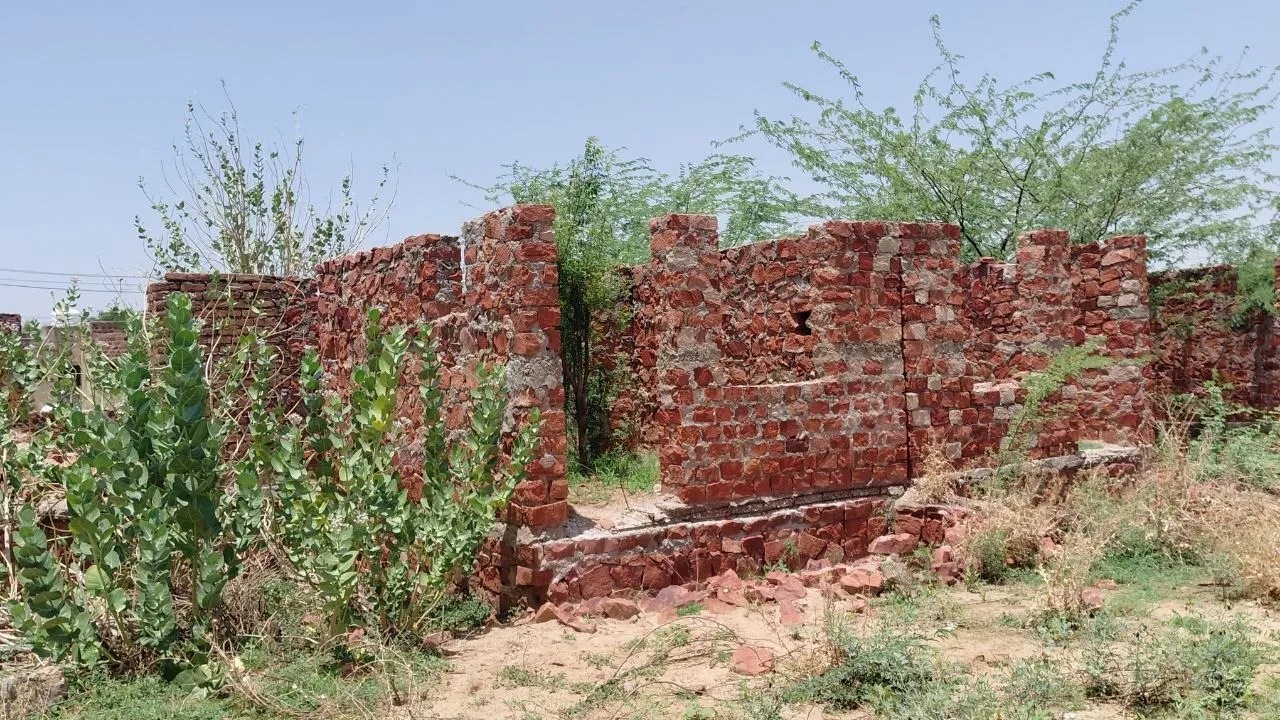 नागौर की डॉ. भीमराव अम्बेडकर आवासीय योजना में अधूरे पड़े मकान