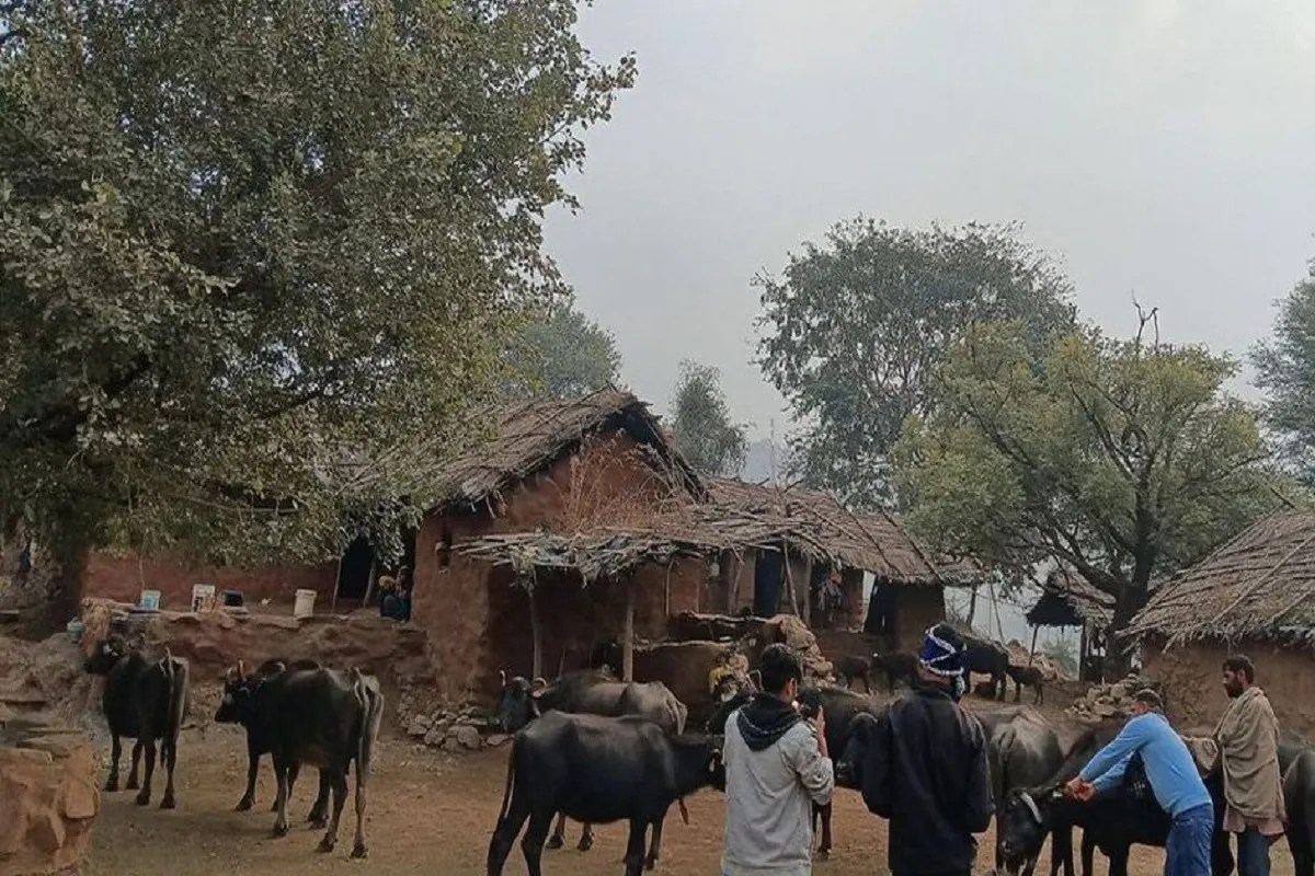 sariska village