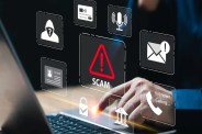cyber fraud