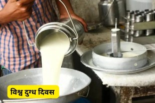 World Milk Day 2026