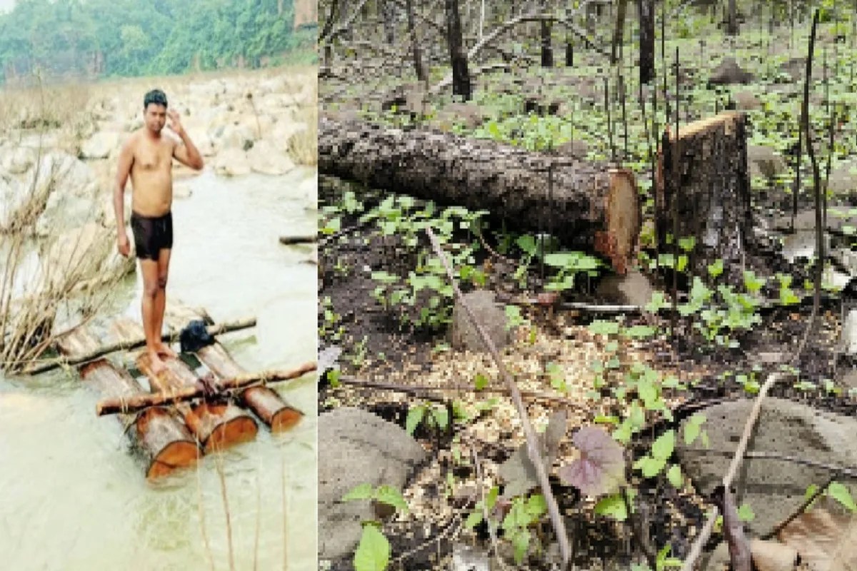 Pushpa Style Smuggling