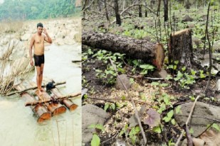 Pushpa Style Smuggling