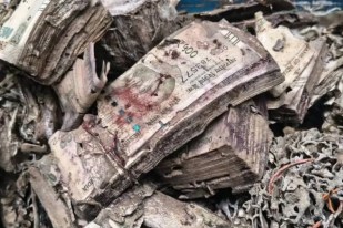 Termite damaged cash found in Kolkata college