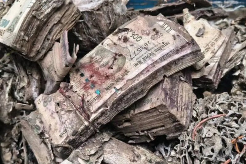 Termite damaged cash found in Kolkata college