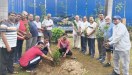 राजस्थान पत्रिका के हरित प्रदेश अभियान के तहत देशपांडे नगर गार्डन में पौधरोपण करते प्रवासी समाज के सदस्य, सामाजिक कार्यकर्ता एवं अन्य गणमान्य नागरिक।