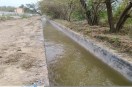 Sriganganagar: Water released into the link canal from Sadhuwali Head flowing towards the ponds of the main headworks