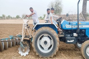 Farmers return to field