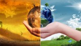 world enviromental day