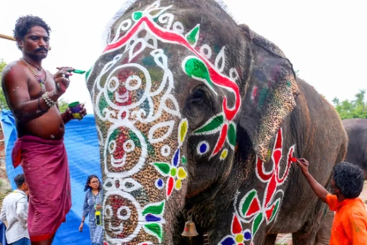 Ahmedabad Rath yatra