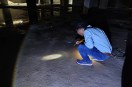 Water-borne and Mosquito-borne Diseases