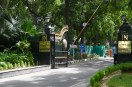 Delhi Gymkhana Club tree cutting