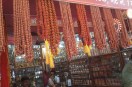 Rudraksh market