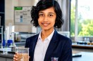 Arika Kundu lignex peanut shell pesticide removal technology